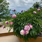 Domaine Halte 3* Reyrieux